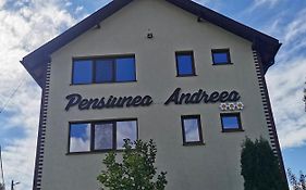 Pensiunea Andreea
