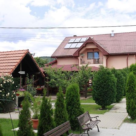 Pensiunea Andreea Baia de Fier Exterior foto