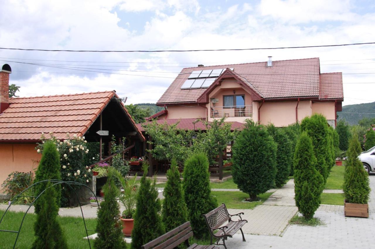 Pensiunea Andreea Baia de Fier Exterior foto