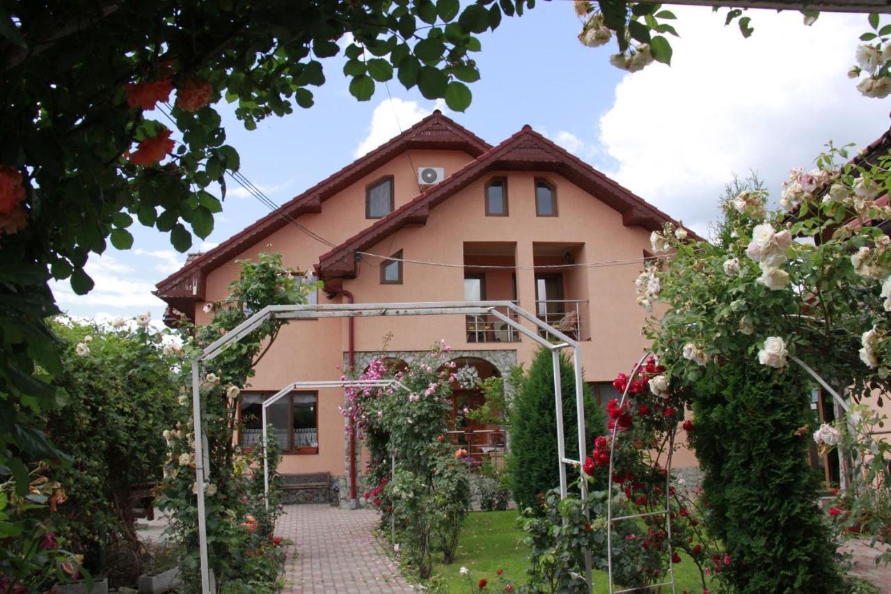 Pensiunea Andreea Baia de Fier Exterior foto