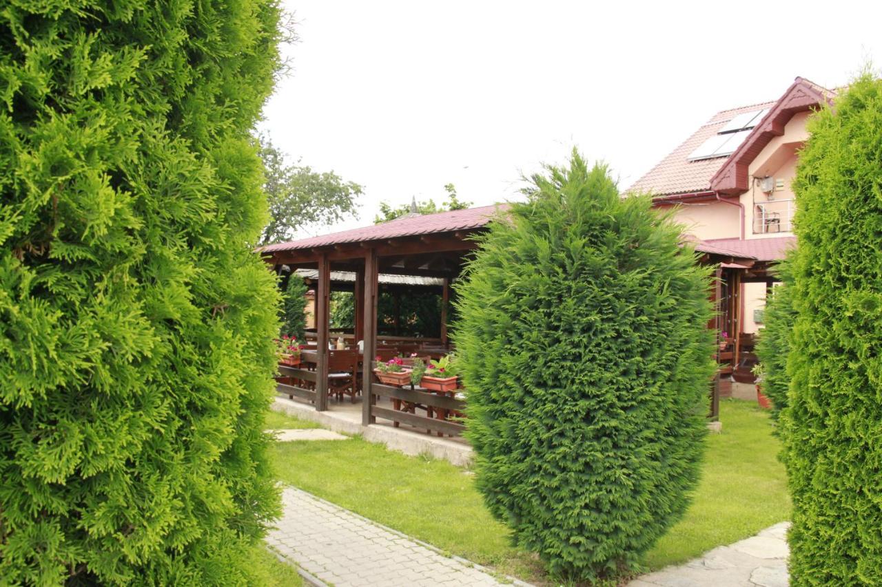 Pensiunea Andreea Baia de Fier Exterior foto