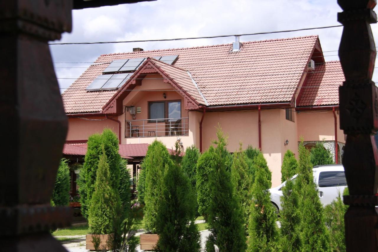 Pensiunea Andreea Baia de Fier Exterior foto