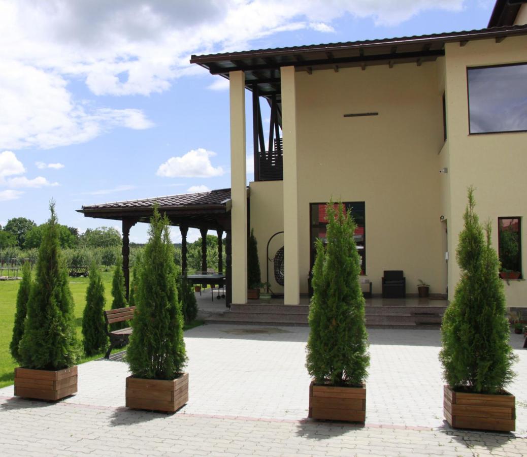 Pensiunea Andreea Baia de Fier Exterior foto