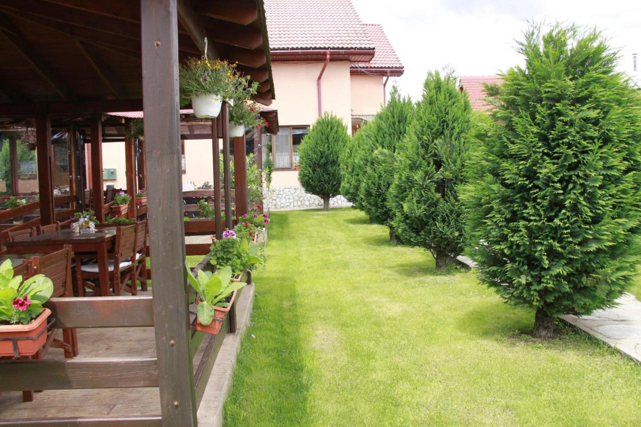Pensiunea Andreea Baia de Fier Exterior foto