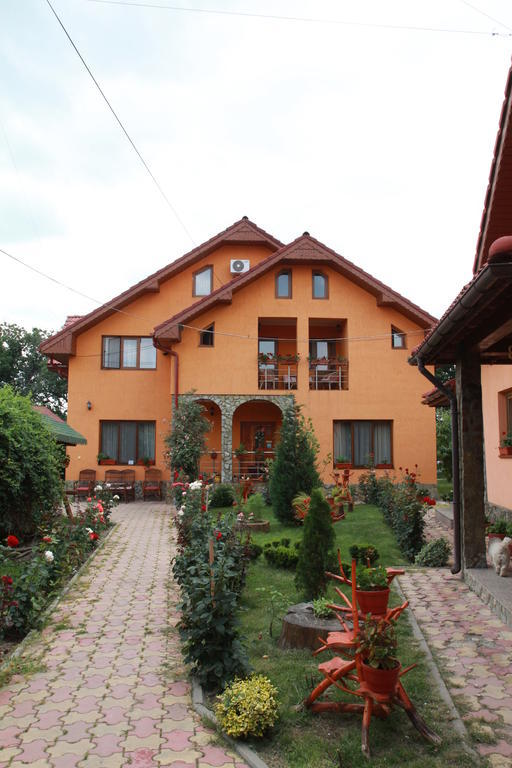 Pensiunea Andreea Baia de Fier Exterior foto